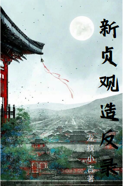 新貞觀造反錄